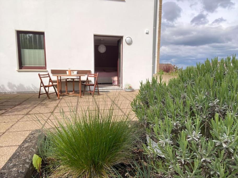 Apartment Am Golfplatz Obernkirchen ภายนอก รูปภาพ